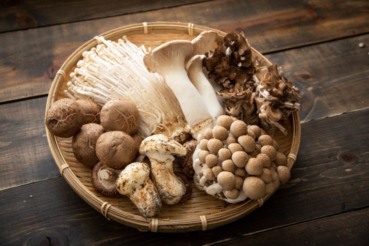 Maitake гриб