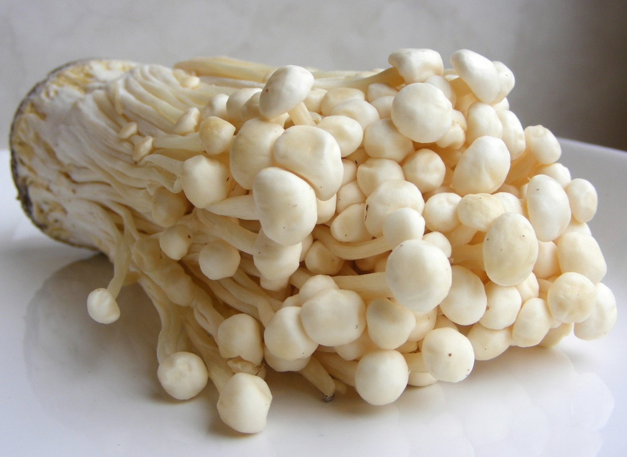 Иноки грибы