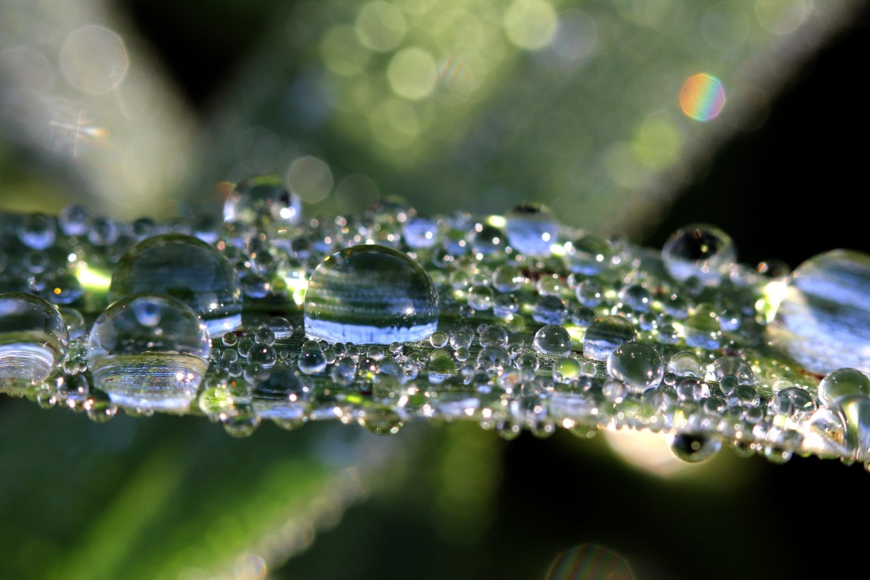 Капли воды