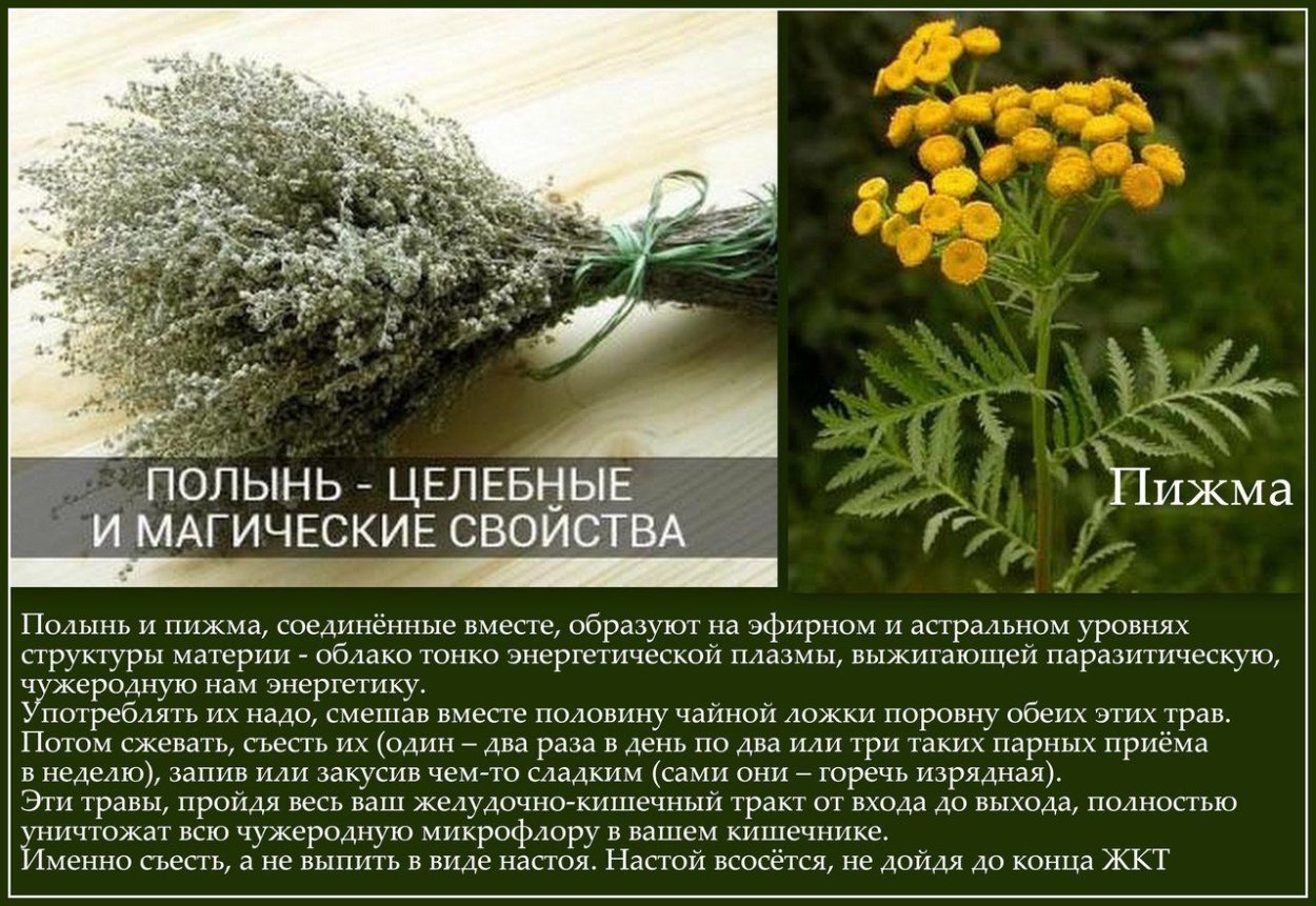 Травы для колдовства