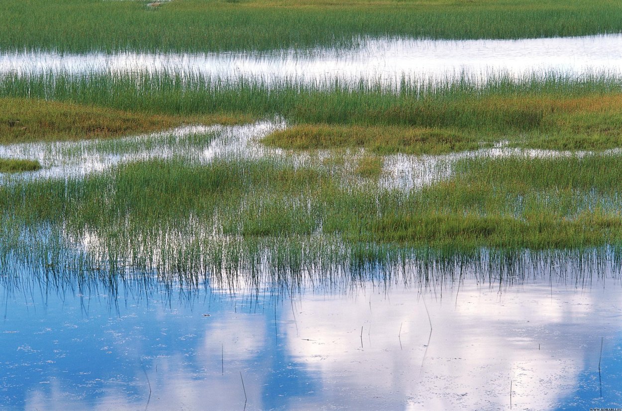 Коларовские водно-болотные угодья