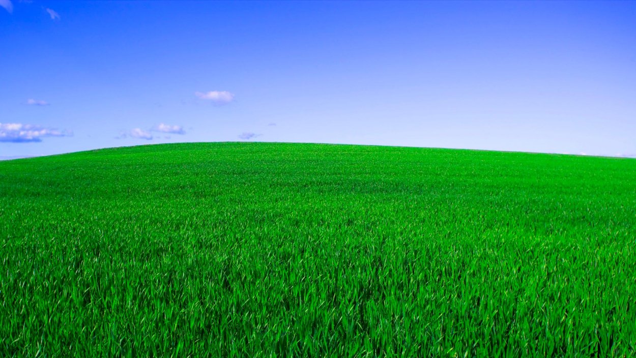 Газон Wallpaper
