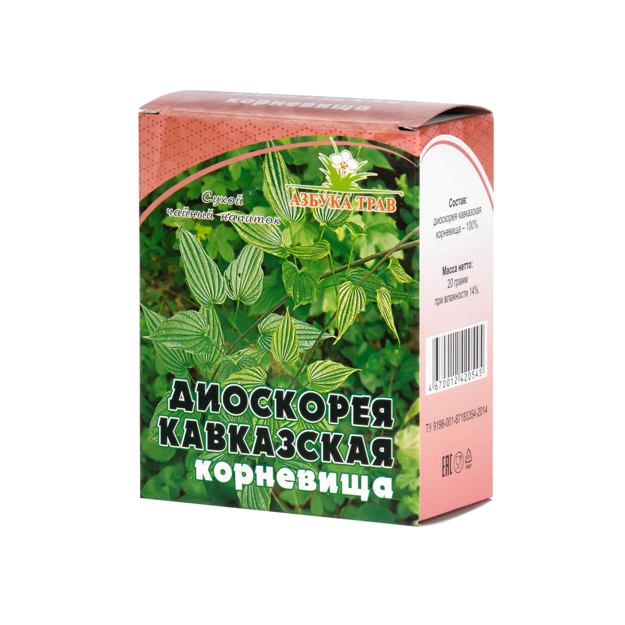 Диоскорея Кавказская Лиана
