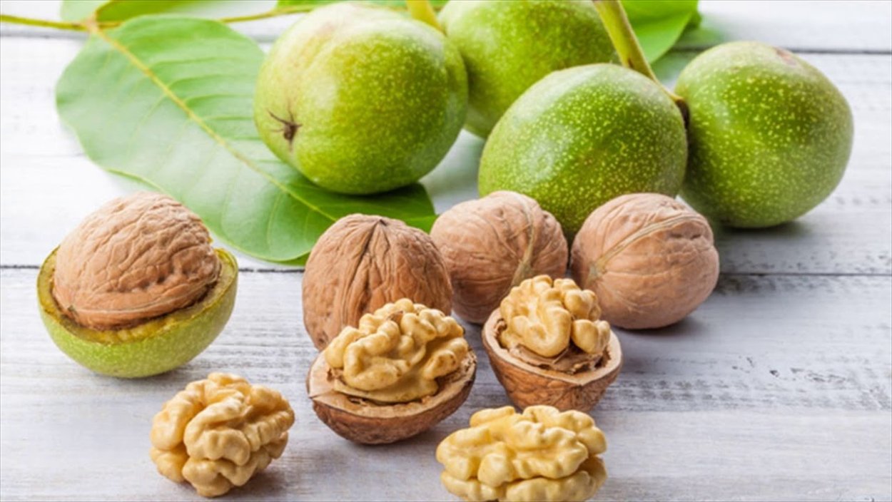 Белый грецкий орех