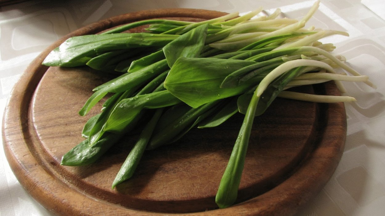 Черемша колба Медвежий лук