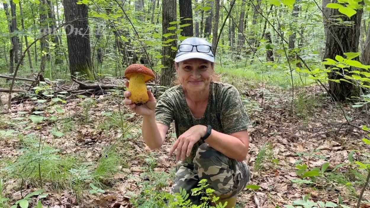 Ой грибы грибочки