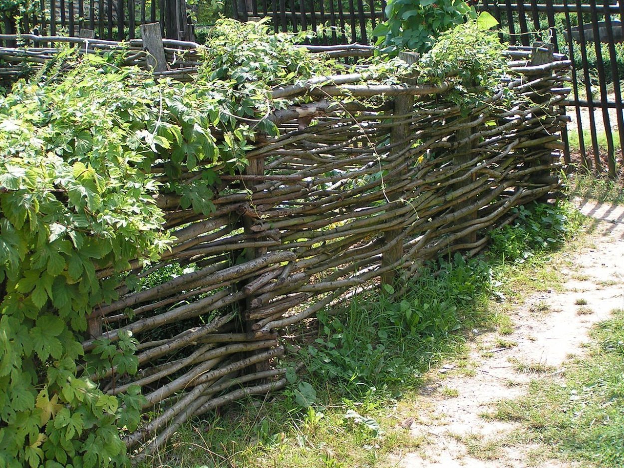 Кончаловский усадьба плетень