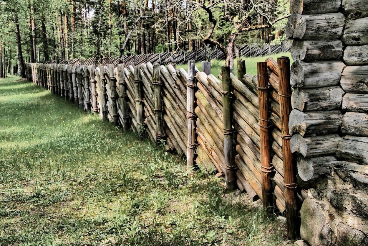 Забор из частокола