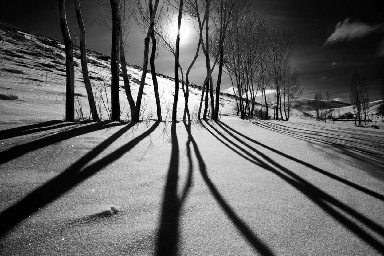 Тень природа