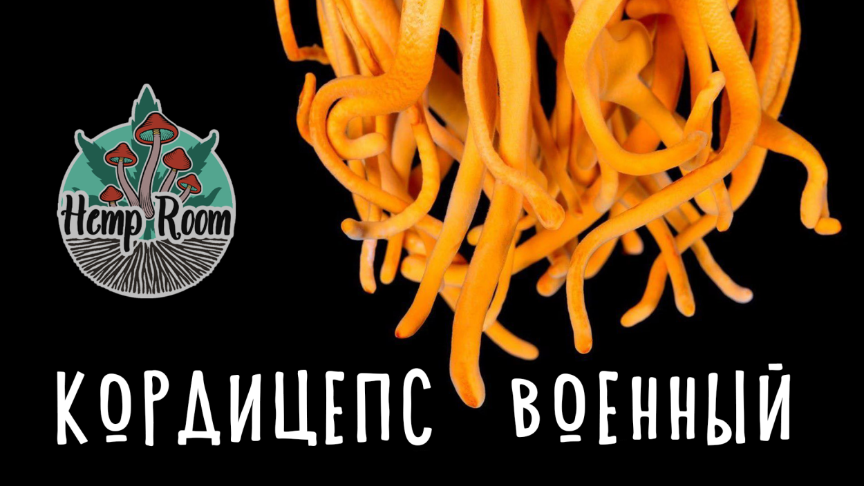 Анимированный гриб