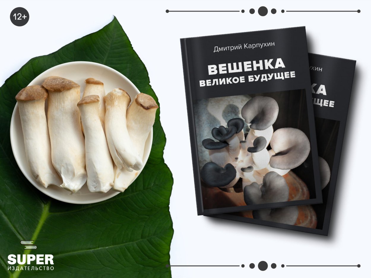 Вёшенка Королевская (Еринги, вёшенка Степная)