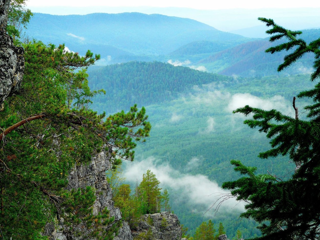 Урал лес Белорецк весной