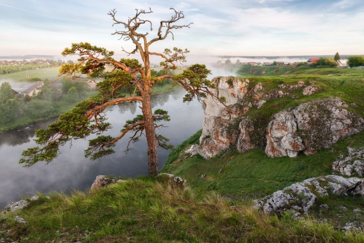 Лиственные деревья и их листья