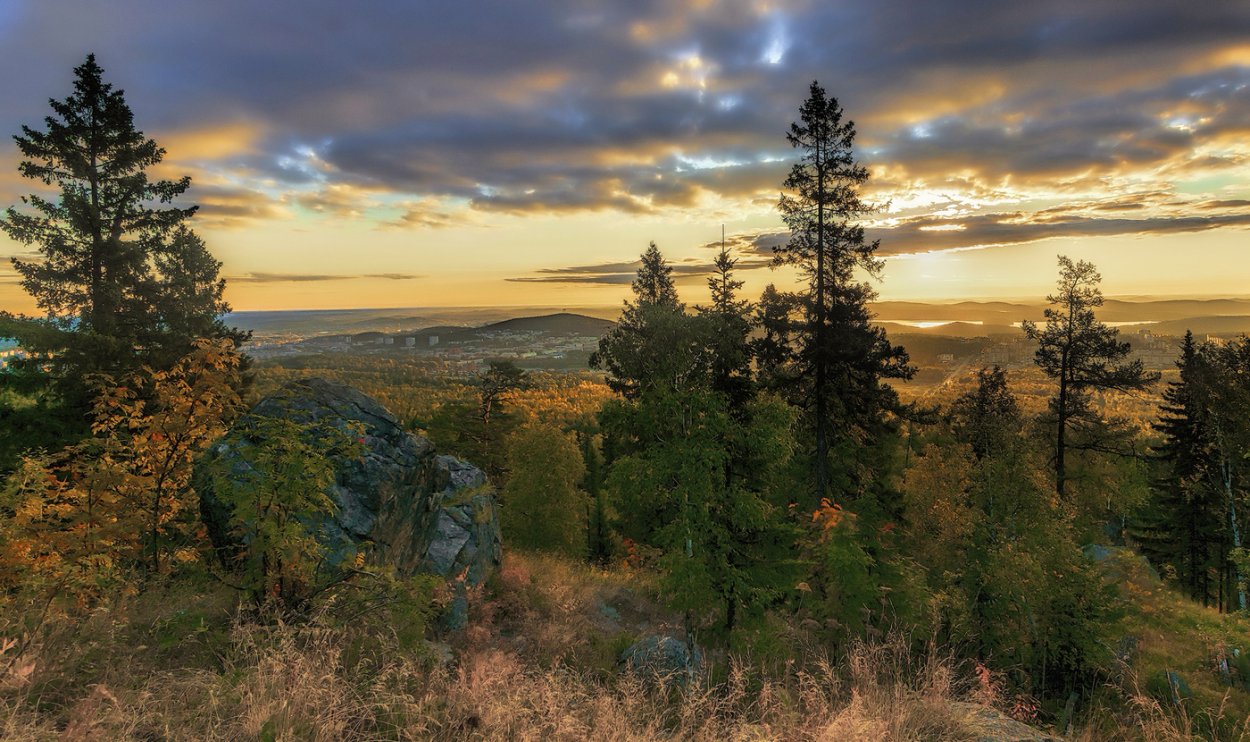 Байкальский заповедник Кедровый лес