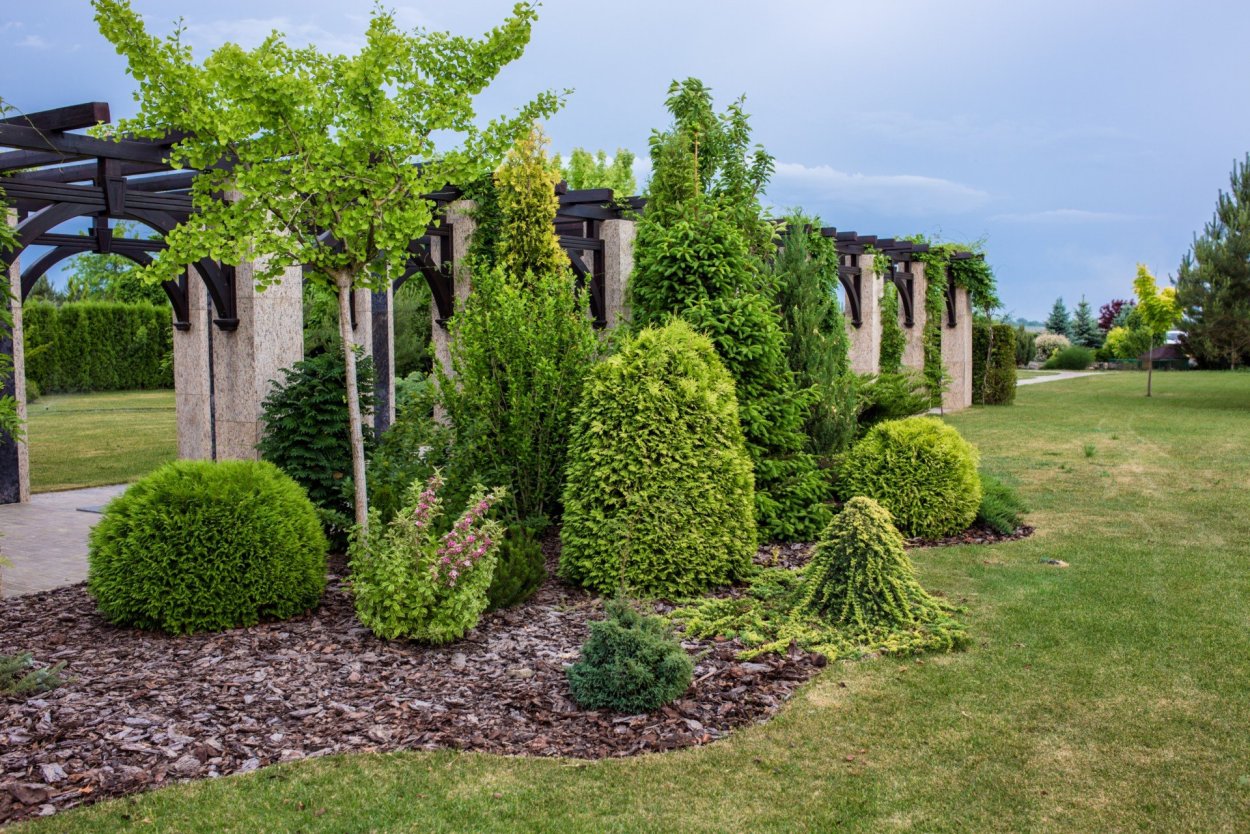 Парк Бельвиль кустарники