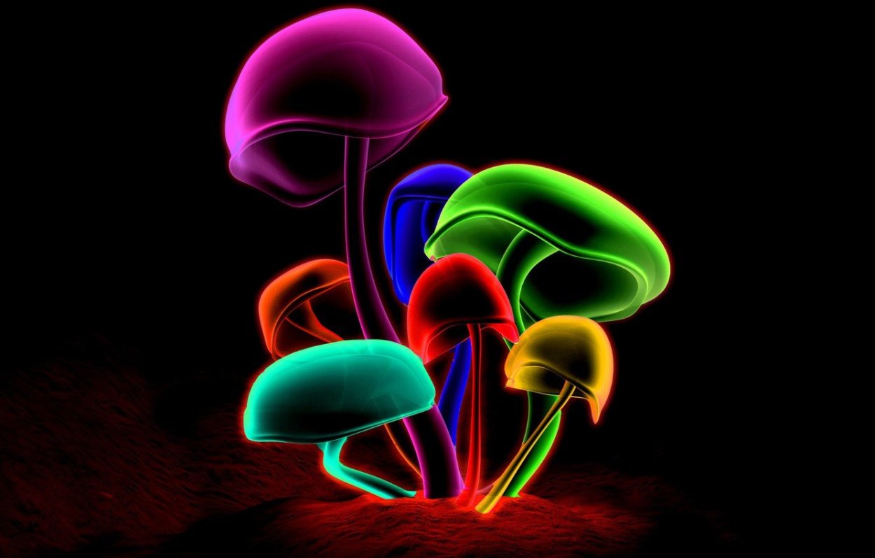 Трутовик Траметес разноцветный TRAMETIC vercicolor