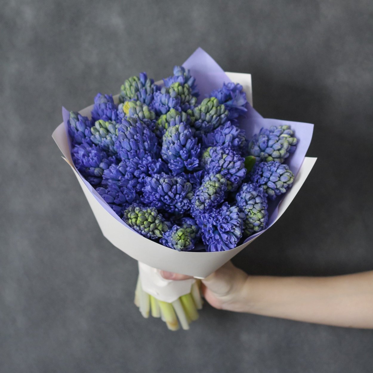 Гиацинт, латинское – Hyacinthus, народное – цветок дождя.