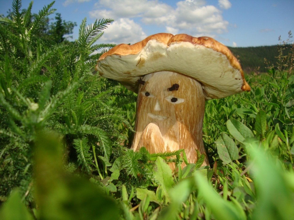Вязаные грибочки