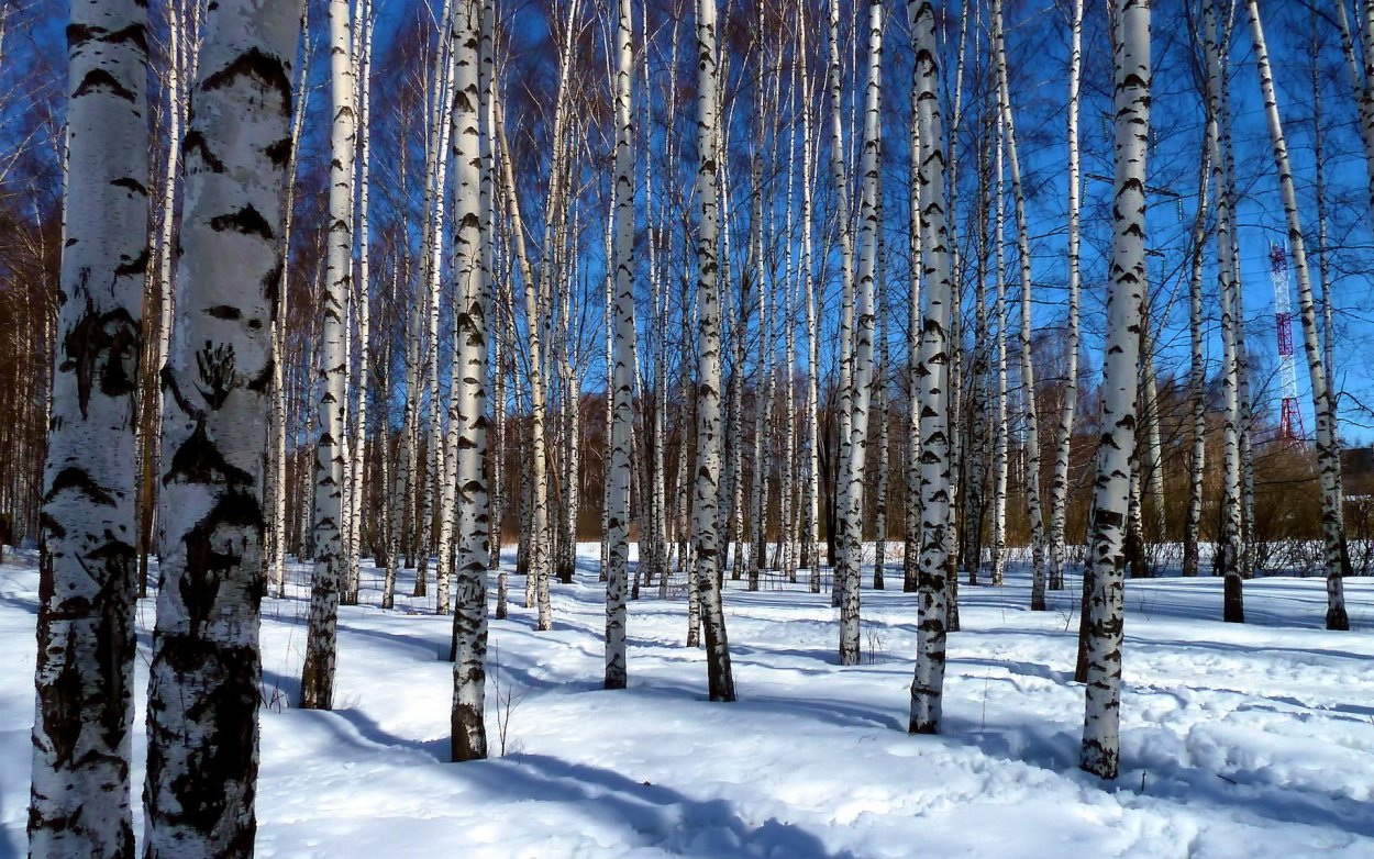 Ранняя Весна