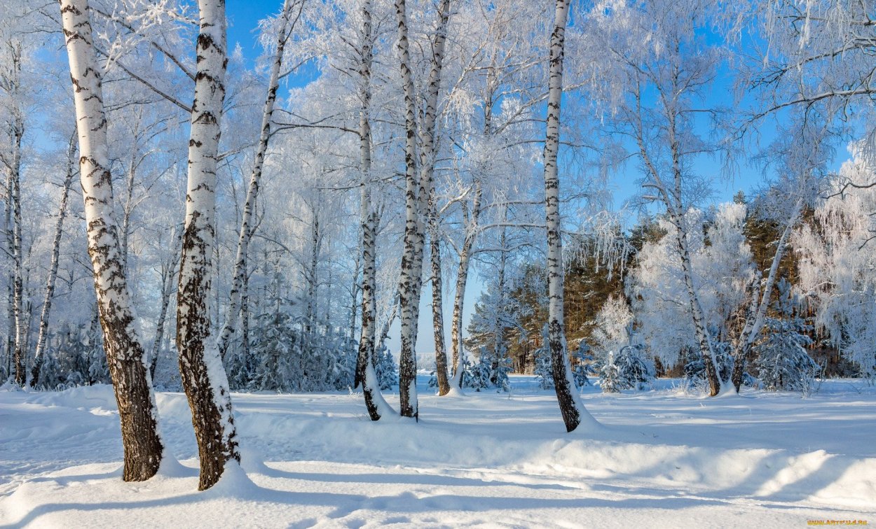 Ранняя Весна
