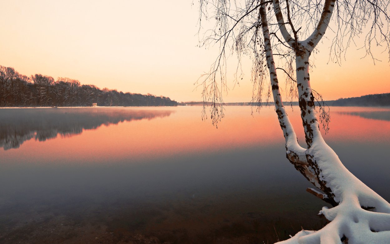 Река березы зима