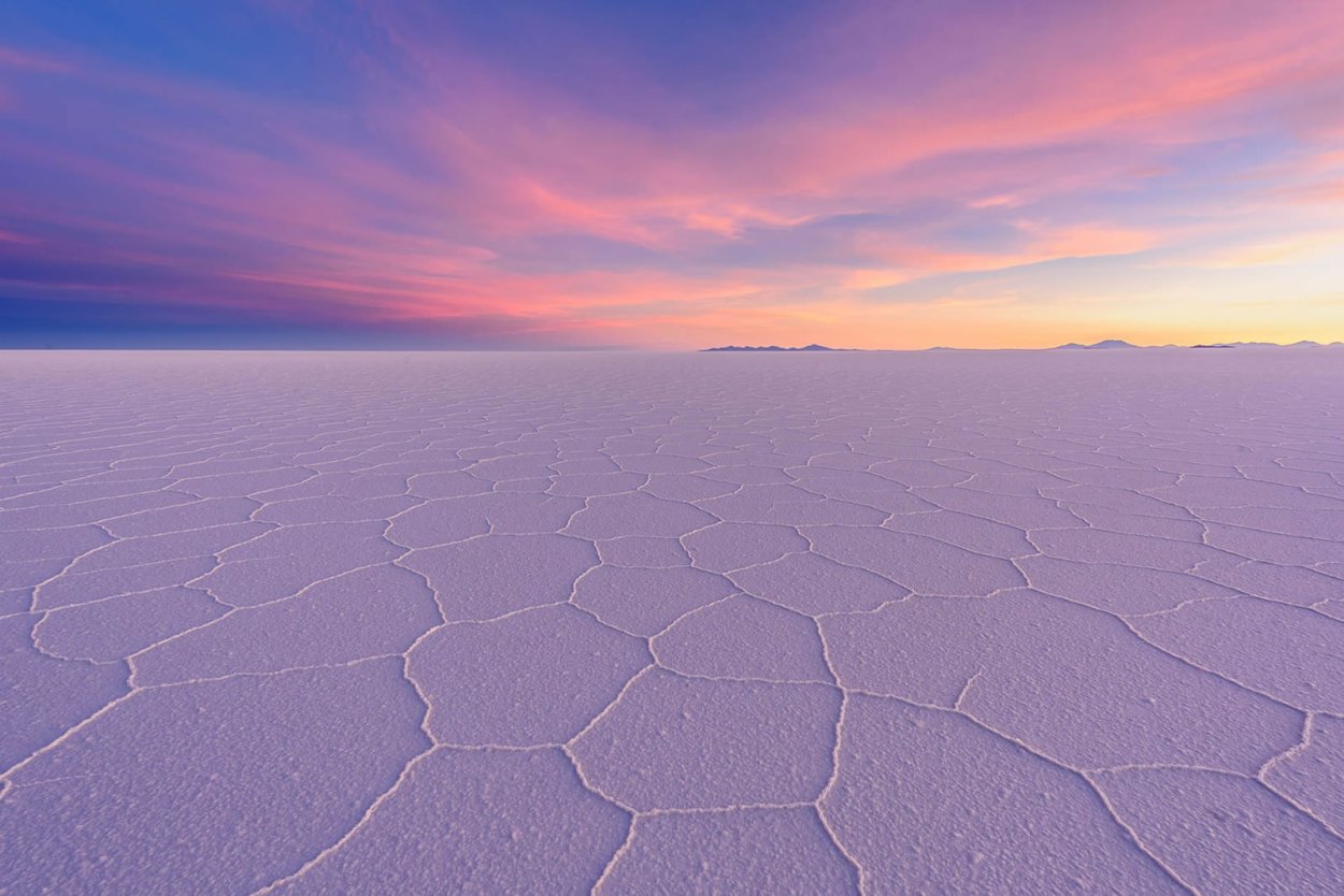 Соровые солончаки