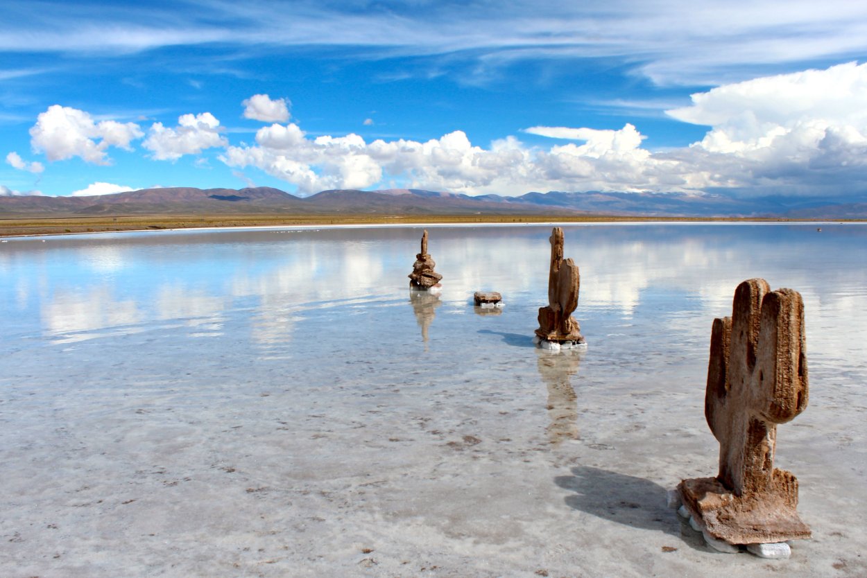 Солончак Салинас-Грандес