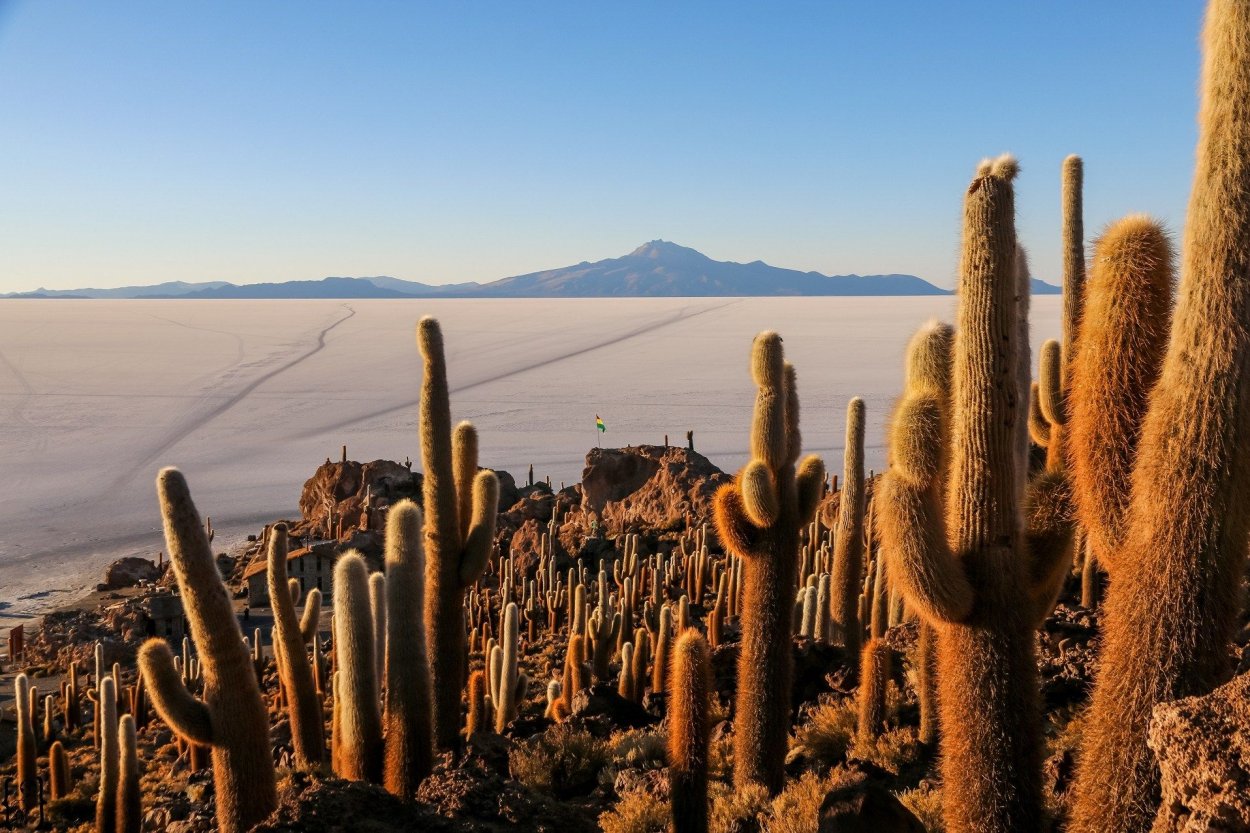 Боливия Уюни кактусы остров