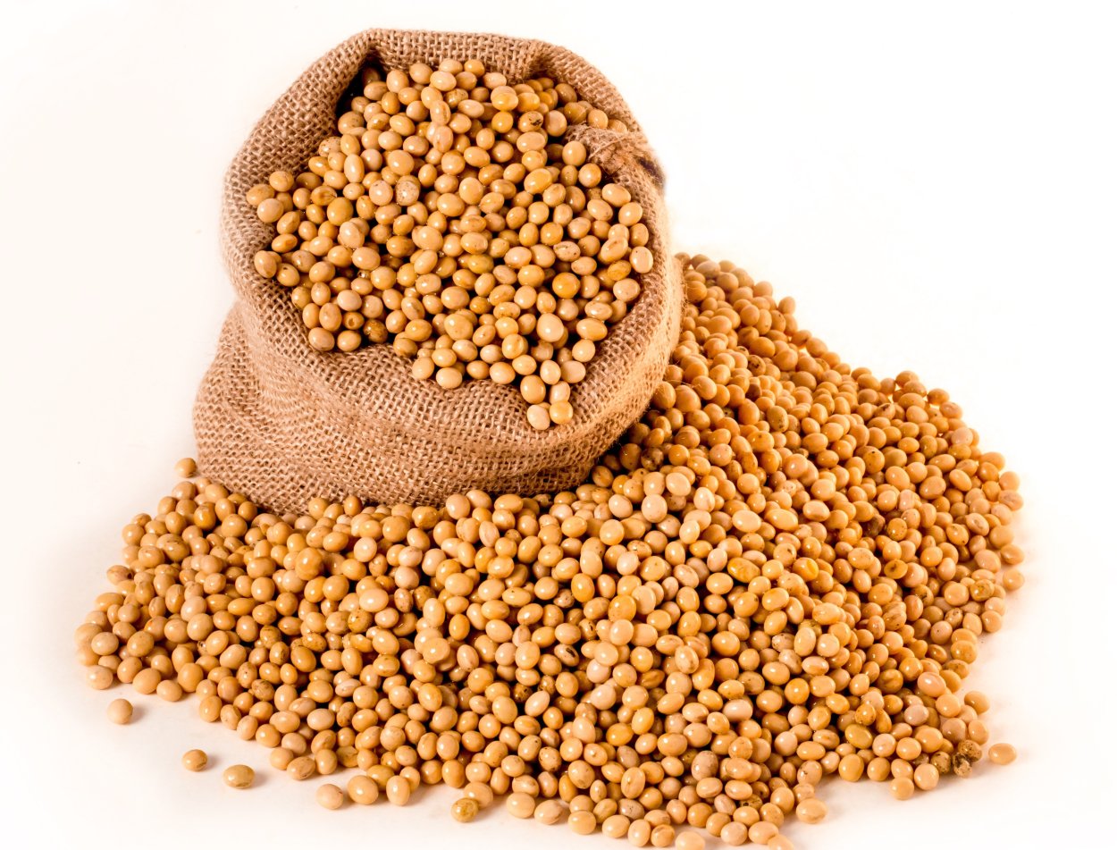 Соя экструдированная