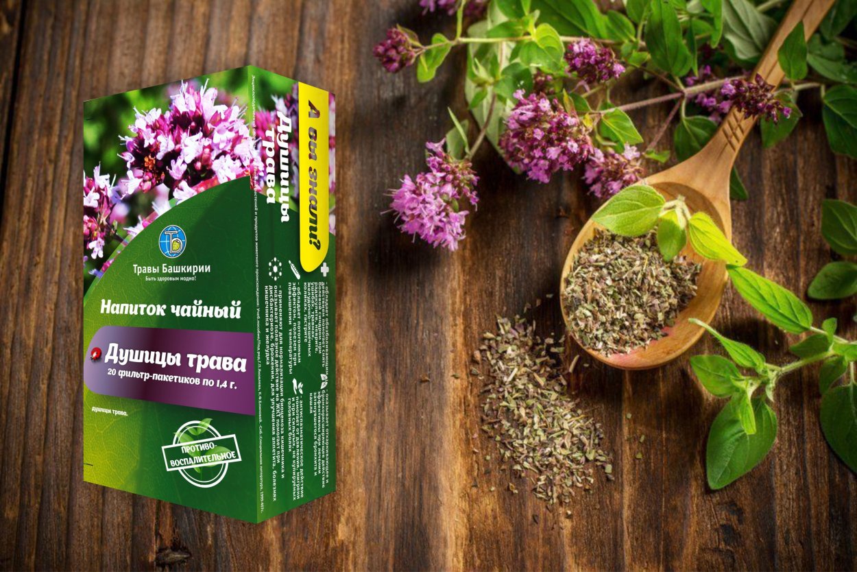 Душица обыкновенная Origanum vulgare сырье