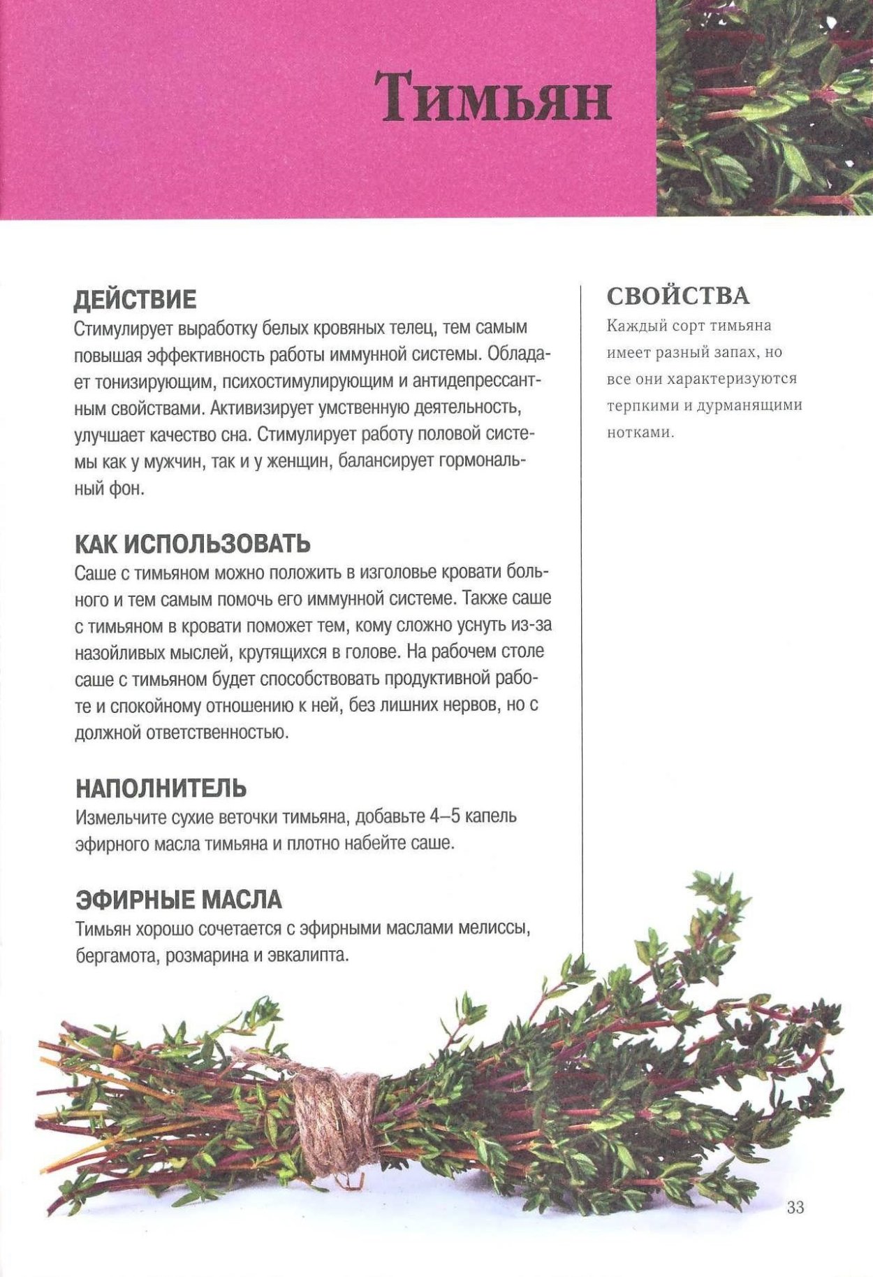 Душица обыкновенная Хуторянка