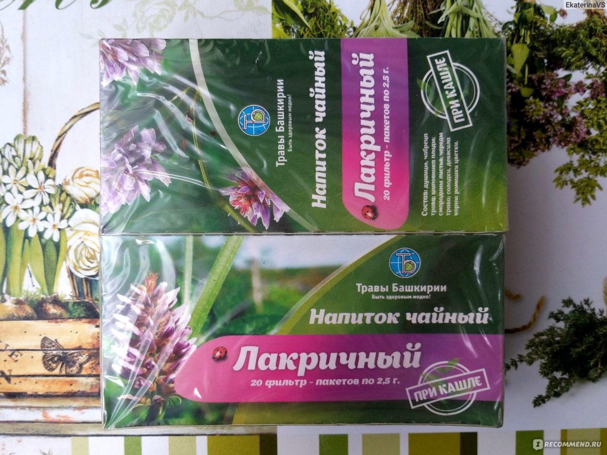 Цикорий лекарственная трава