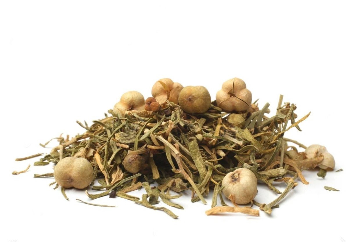 Peganum harmala