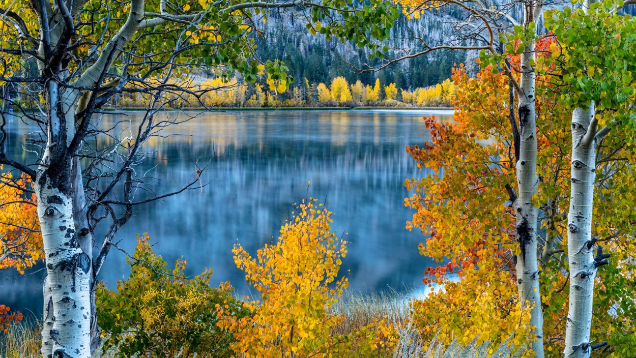 Осень природа река озеро лес