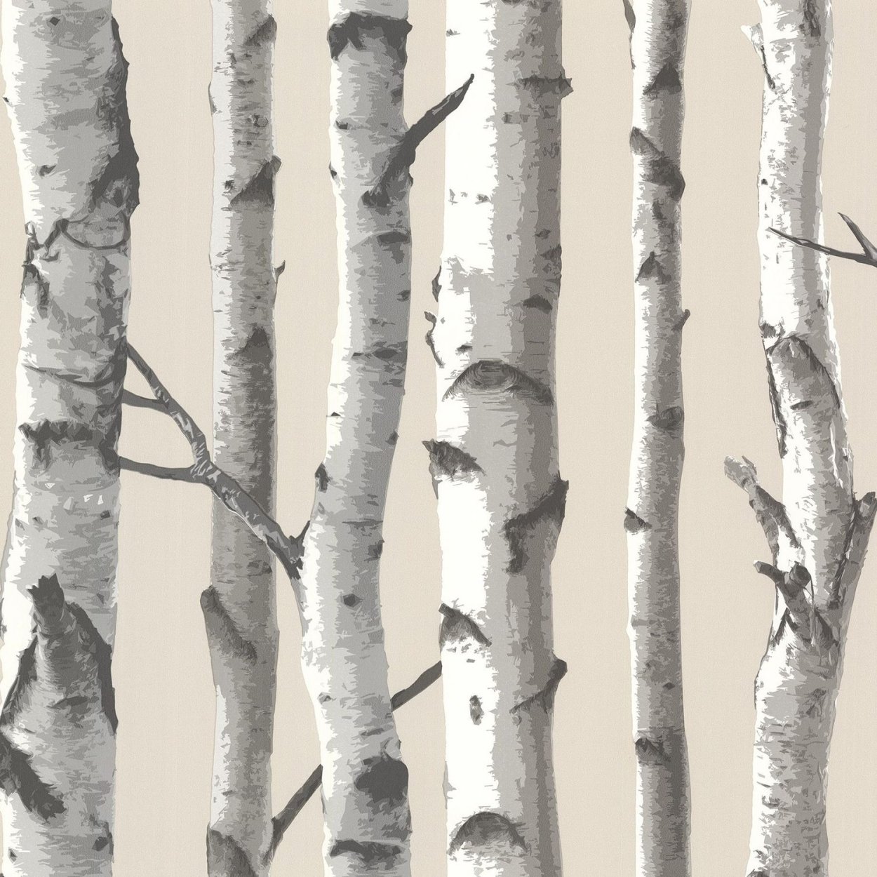 Дерево Silver Birch