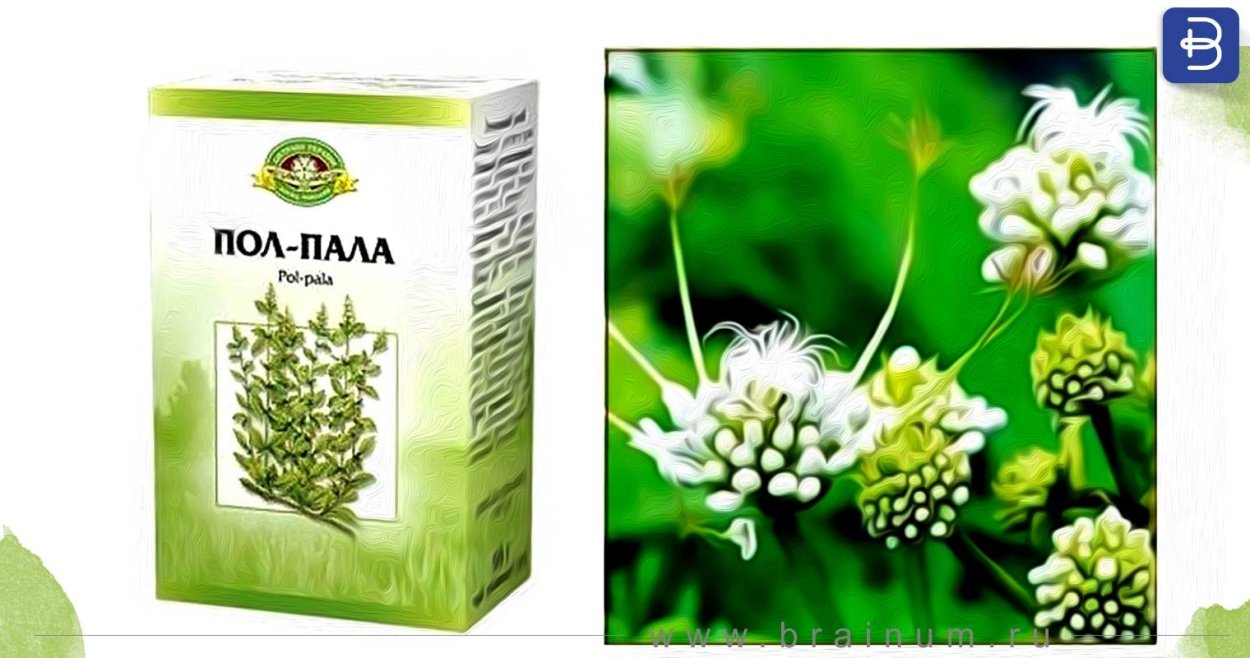 Пол-пала хирург без скальпеля