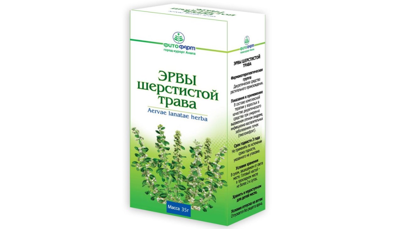 Травы от почек эрва шерстистая