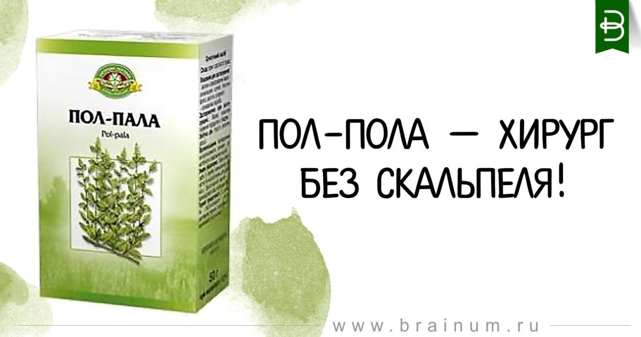 Эрва шерстистая в аптеке