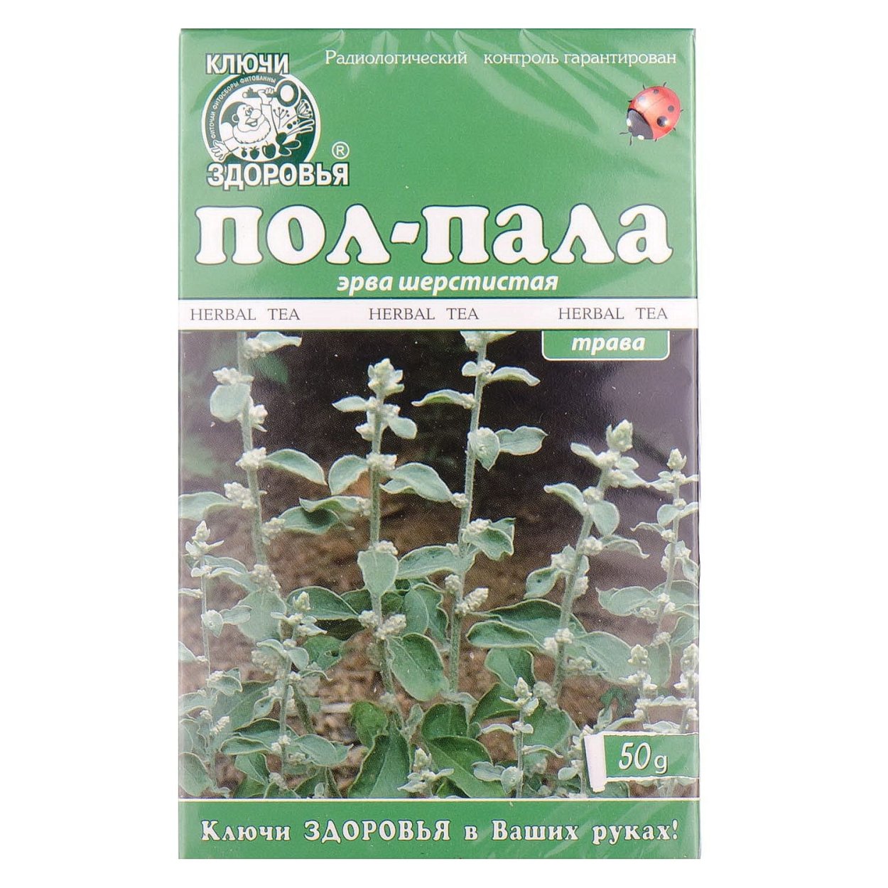 Эрвы шерстистой трава 50г