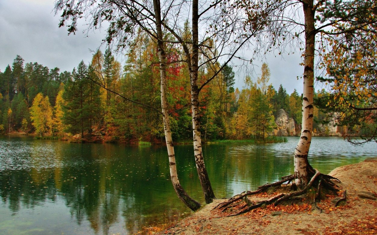 Берег озера осень