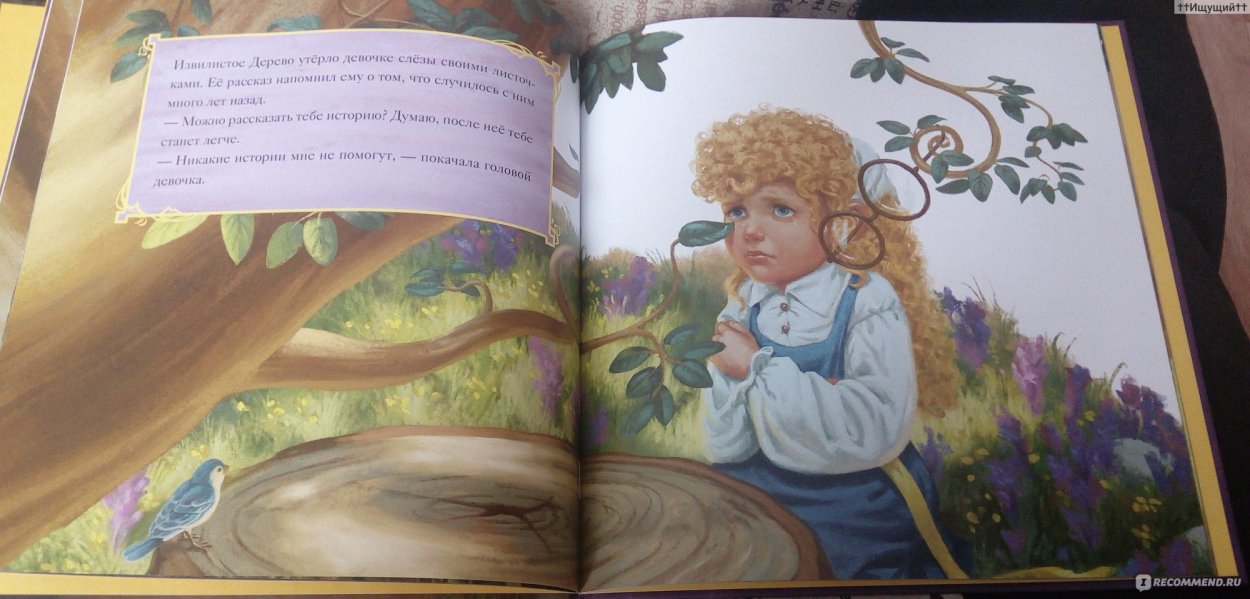Дерево с торчащими корнями