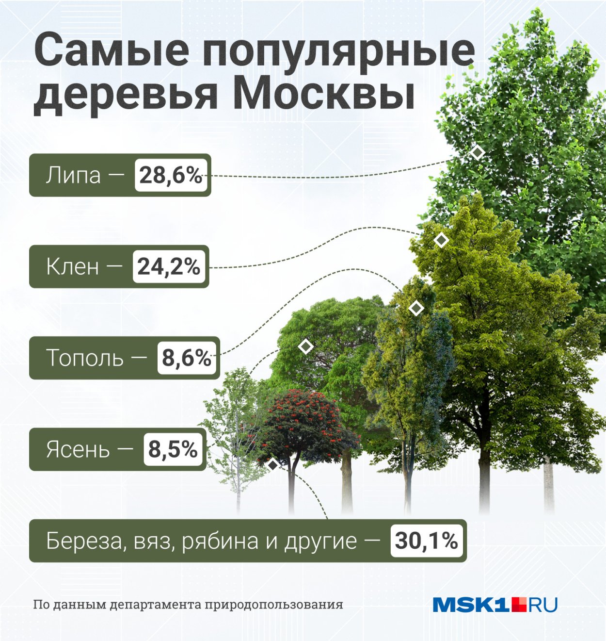 Распространенные деревья