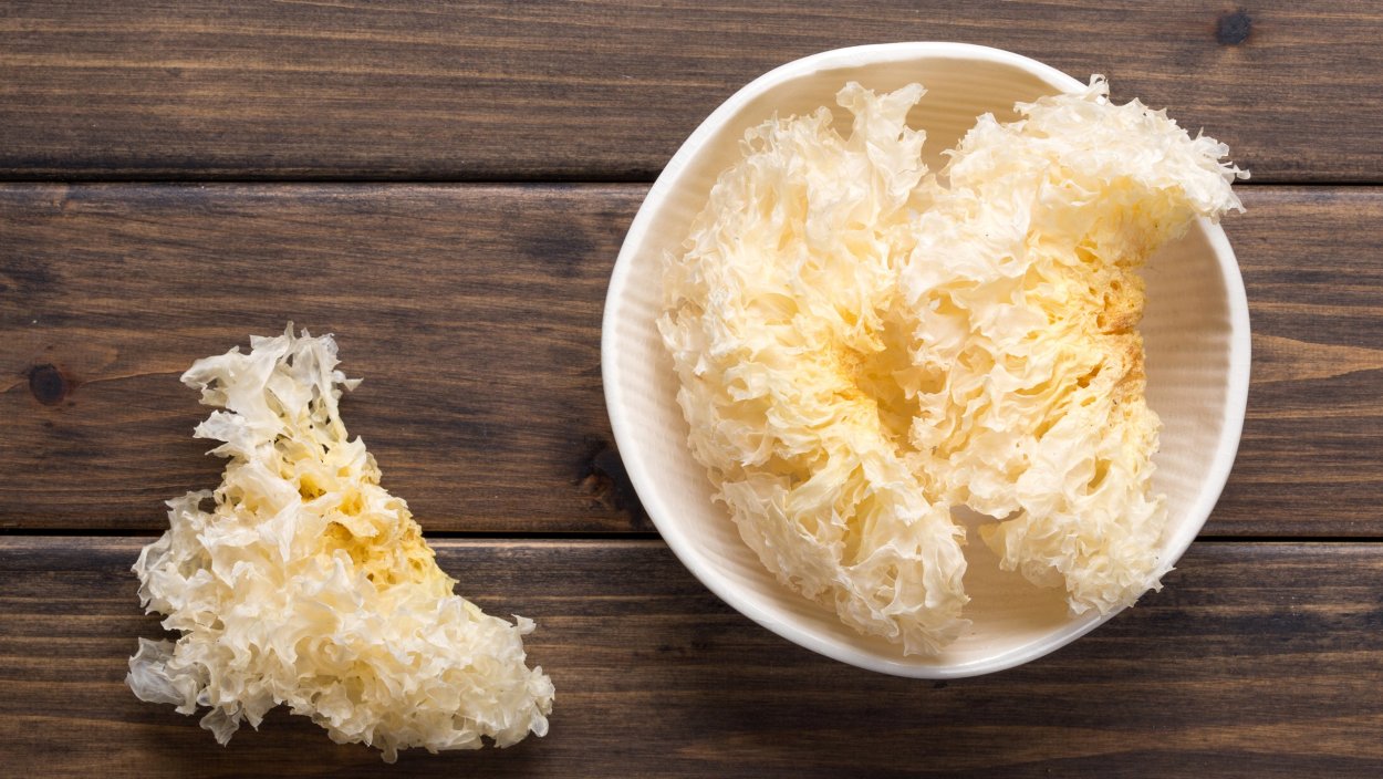 Tremella fuciformis Mushroom extract