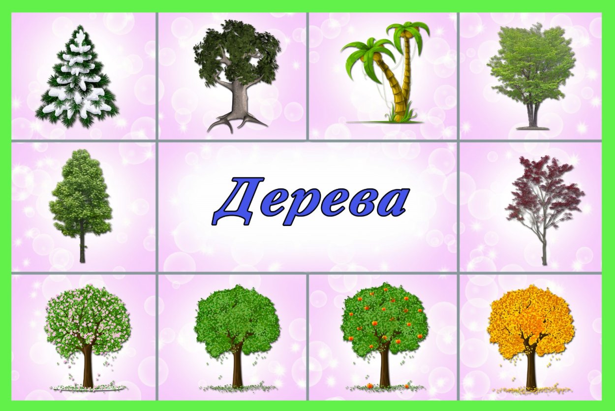 Карточки деревья для детей