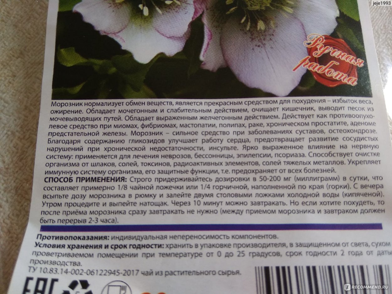 Фото Беленького морозника в лесу