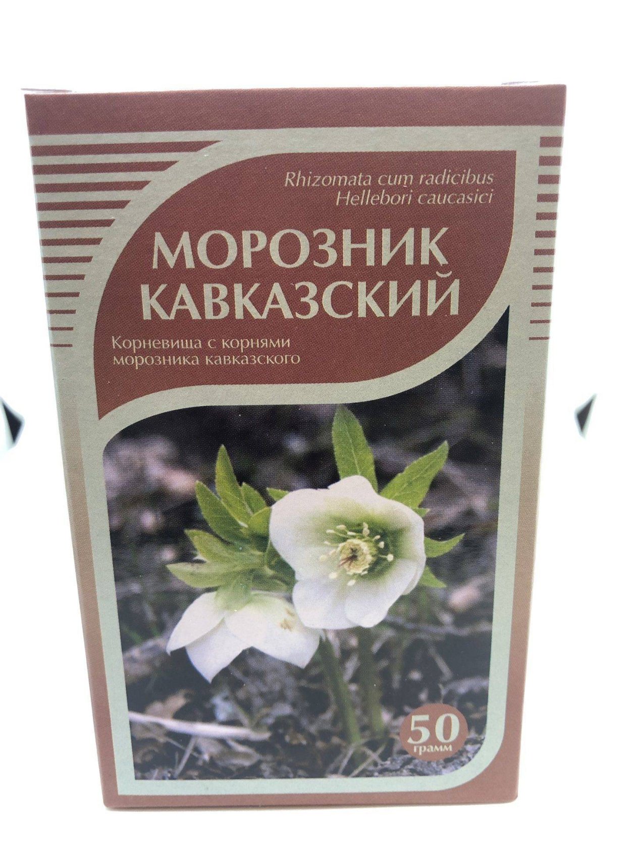 Морозник кавказский семена