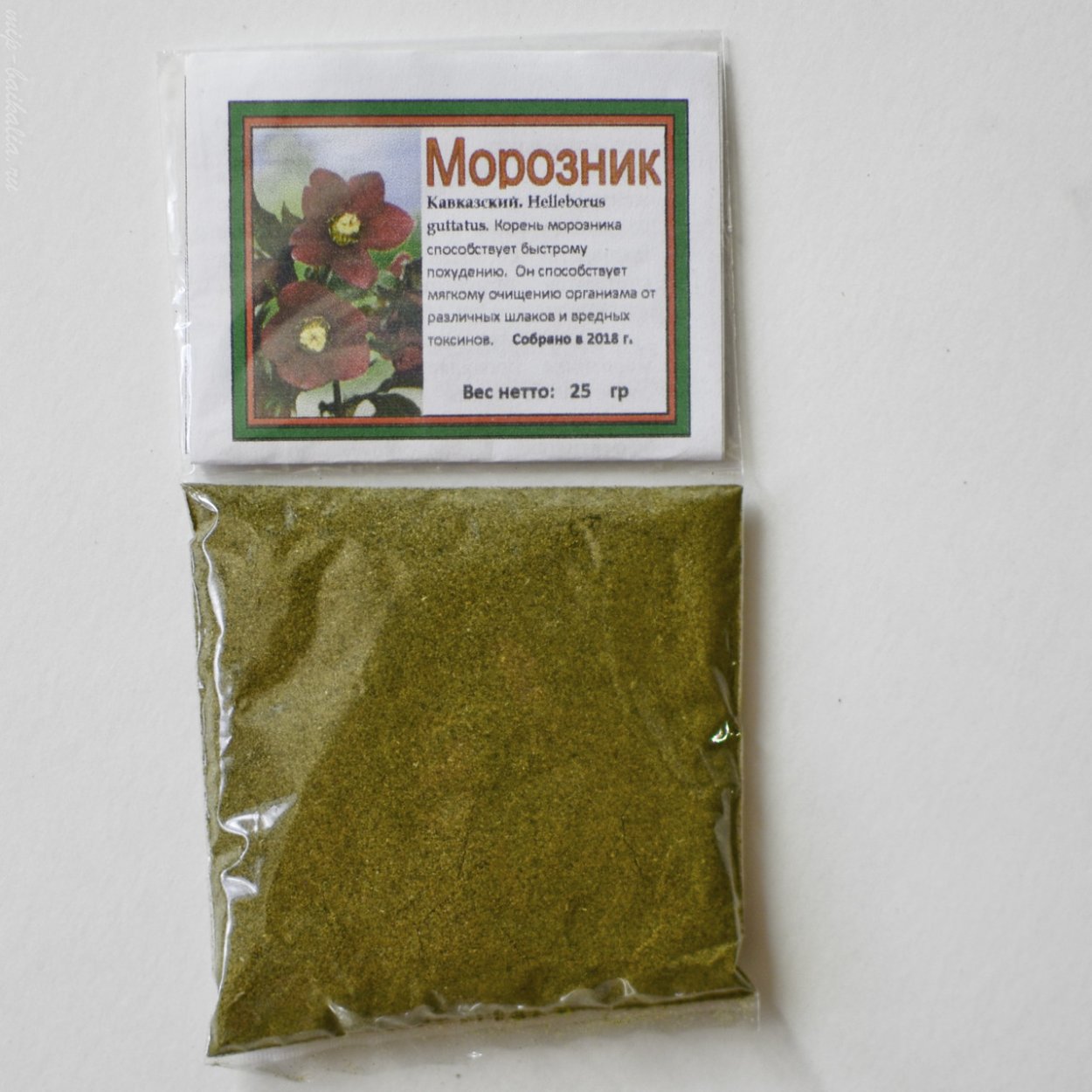 Морозник кавказский