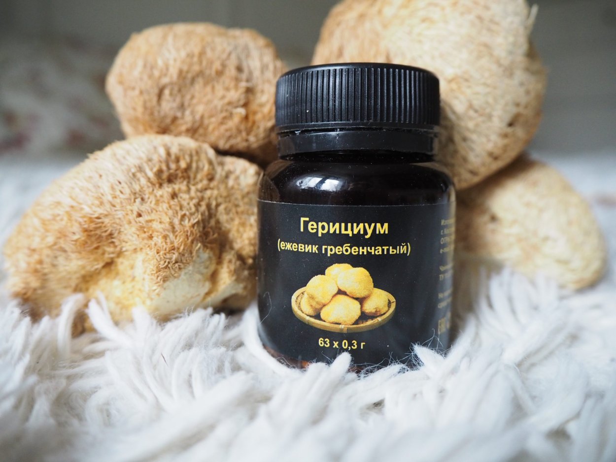 Грибница мицелий