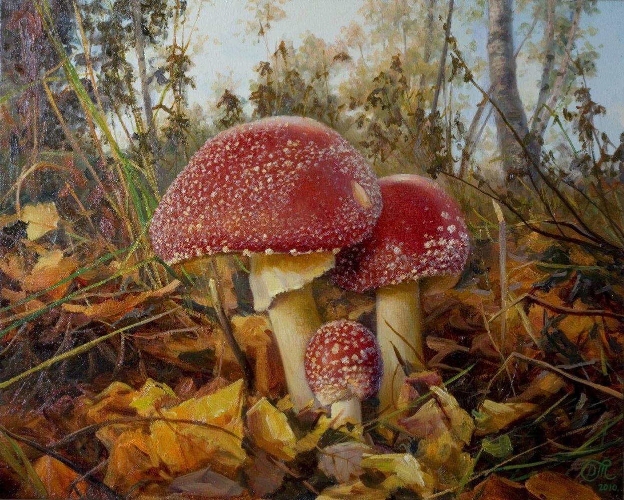 Шишкин мухоморы картина