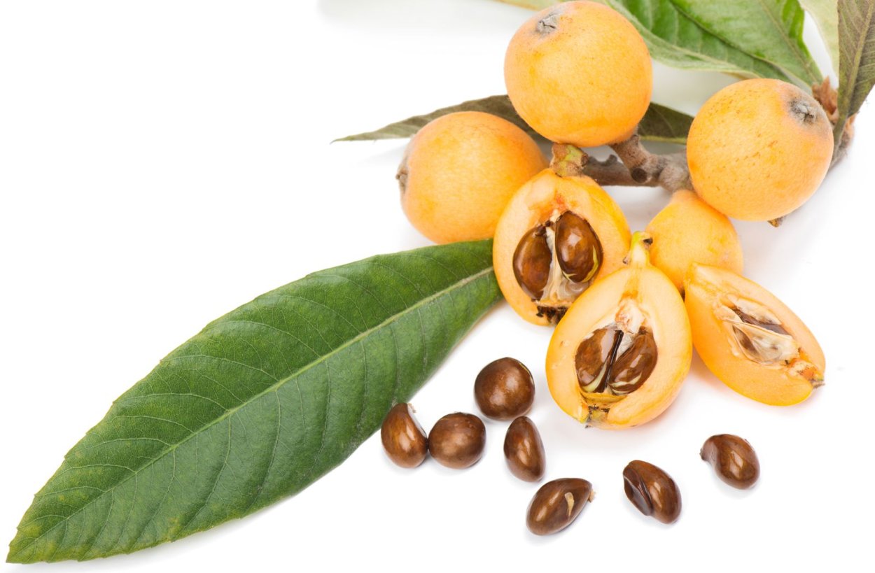 Loquat 5%